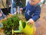 Sustainable Gardening with babies